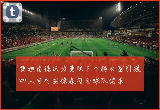 费迪南德认为曼联下个转会窗引援四人可行安德森符合球队需求